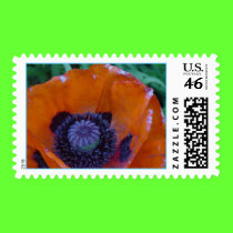 Poppy Postage postage