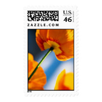 POPPY postage