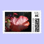 POPPY POSTAGE STAMP stamps