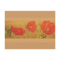 poppy postcards