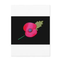poppy  postcards