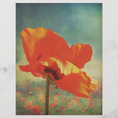 Poppy Poster