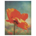 Poppy Poster flyers