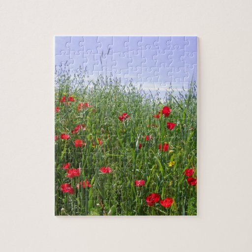 Poppy Puzzle