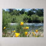 "Poppy River" posters