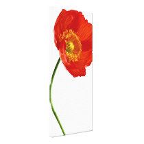 Poppy Simplicity Gallery Wrapped Canvas