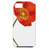 Poppy Simplicity iPhone 5 Cover