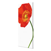 Poppy Simplicity Stretched Canvas Prints