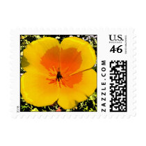 Poppy Stamps by wingedturtle Poppy Stamps