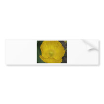poppy,sunny yellow bumper stickers