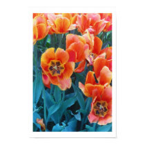 "Poppy Tulips" posters by Sharazoid "Poppy Tulips" posters