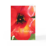 Poppy Wedding Invitation cards