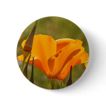 Poppy Wildflower Button