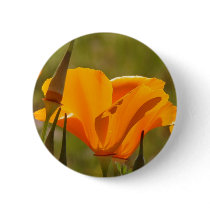 Poppy Wildflower Button