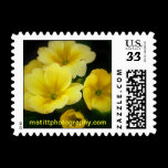 Pops of Yellow Postage Stamp stamps