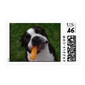 Popsicle dog postage