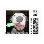 Popsicle Dog Postage postage
