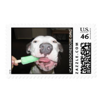 Popsicle Dog Postage