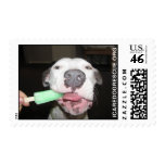 Popsicle Dog Postage postage
