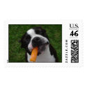 Popsicle Summer postage