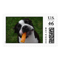 Popsicle Summer postage by Anniesue1 Popsicle Summer postage