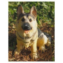 Porcelain Dog Personalized Flyer