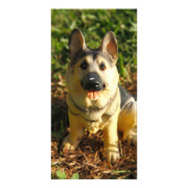 Porcelain Dog Photo Card