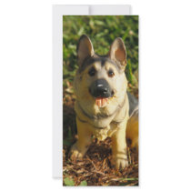 Porcelain Dog Rack Cards
