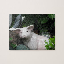 Porcelain Pig puzzle