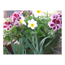 Porch Plants posters by maebelone Porch Plants posters