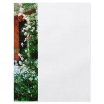 Porch With Climbing Roses Flyer
