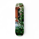 Porch With Climbing Roses Skate Board
