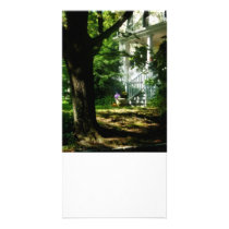 Porch With Pot of Chrysanthemums Picture Card