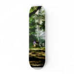 Porch With Pot of Chrysanthemums skateboards