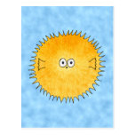 Porcupine Fish. Postcard