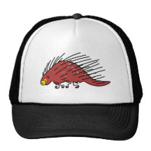 porcupine hat