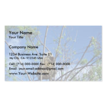 Porcupine in Tree Business Card Template