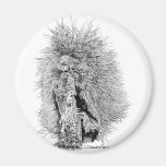 Porcupine Magnets