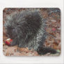 porcupine mouse pad