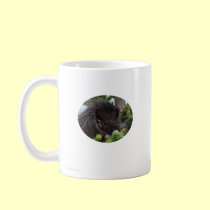 porcupine mugs