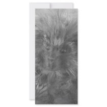 Porcupine Paradise rack cards by marylouroche Porcupine Paradise rack cards