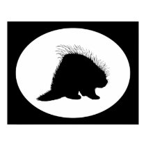 Porcupine posters