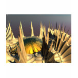 Porcupine Quills t-shirts