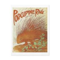 Porcupine Rag Vintage Songbook Cover Postcard
