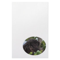 porcupine stationery