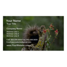 Porcupine-summer-youngster Pink flowers Business Card Templates
