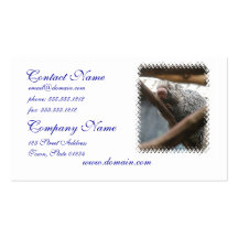 Porcupine with Funny Nose Business Cards