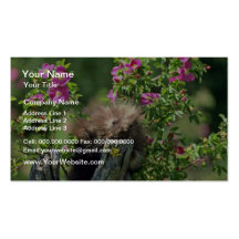 Porcupine-youngster in wild rose Pink flowers Business Card Templates