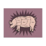Pork Cuts Postcards