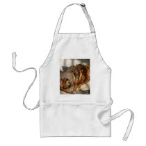 Pork Loin Stuffed aprons